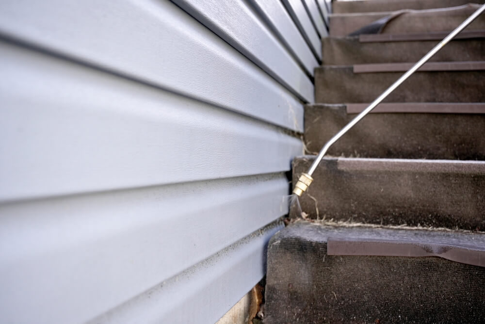 Professional,Pest,Control,Technician,Spraying,Exterior,Foundation,For,Infestation,Prevention